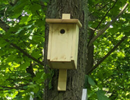 Schulprojekt im Wald von Wildpark-West