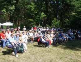 Pfingstkonzerte Wildpark