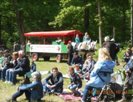 Pfingstkonzerte Wildpark