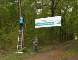 Pfingstkonzerte Wildpark