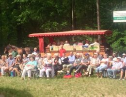 Pfingstkonzerte Wildpark