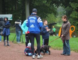 Wildparklauf 2013