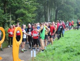 Wildparklauf 2013