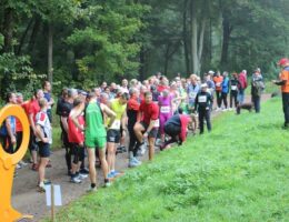 Wildparklauf 2013