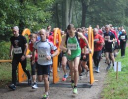 Wildparklauf 2013