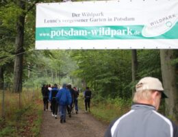 Wildparklauf 2013