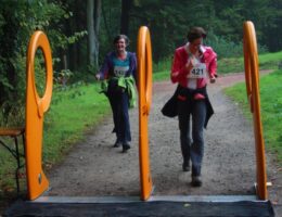 Wildparklauf 2013